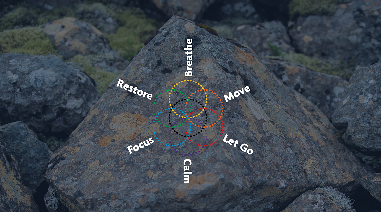 6 Modes of Flow