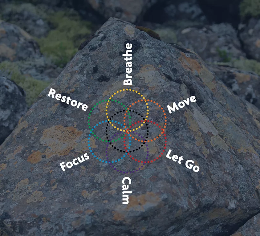 6 Modes of Flow
