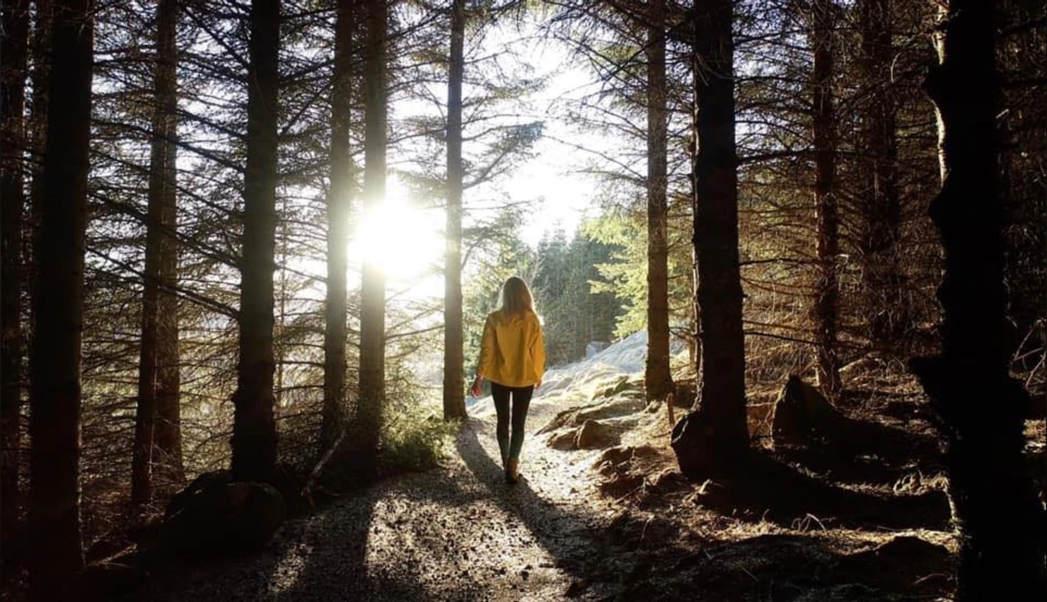 A person taking a hike the Icelandic woods of Heiðmörk