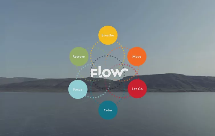 6 Modes of Flow VR logo