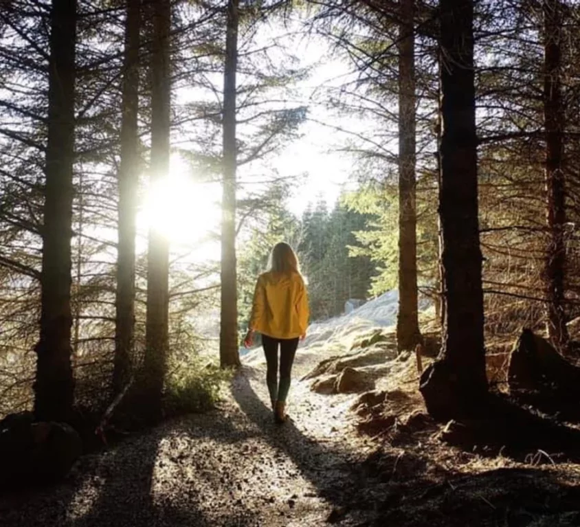 A person taking a hike the Icelandic woods of Heiðmörk