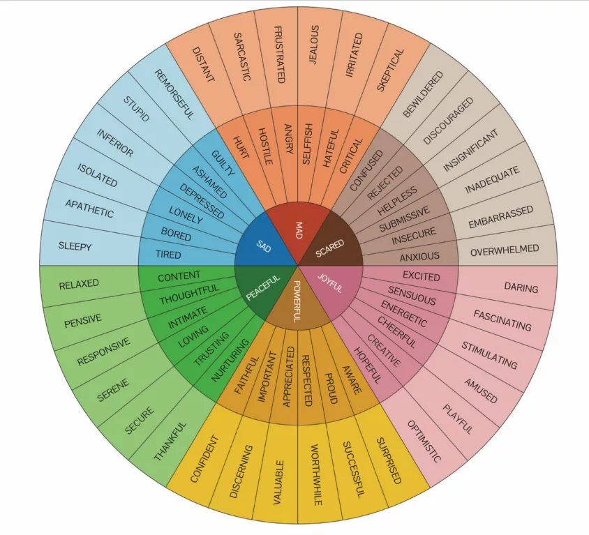 feeling-wheel-1